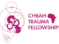 Logo_TRAUMA_FELLOW